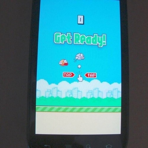 Originale flappy b1rd 2013 - originale,